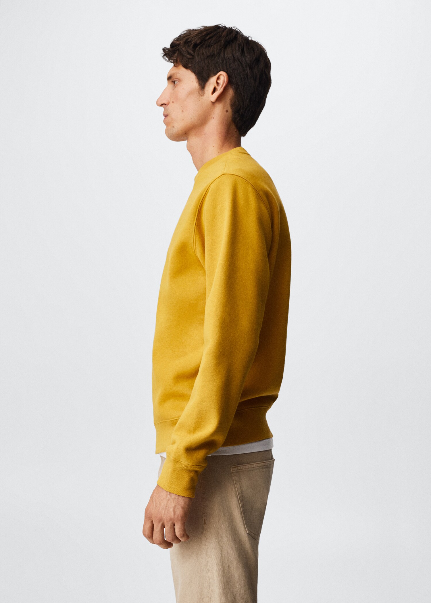 Plush cotton sweatshirt - Details of the article 2