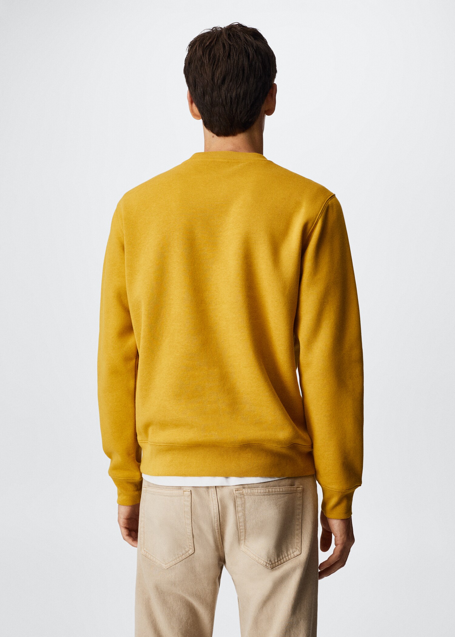 Plush cotton sweatshirt - Reverse of the article