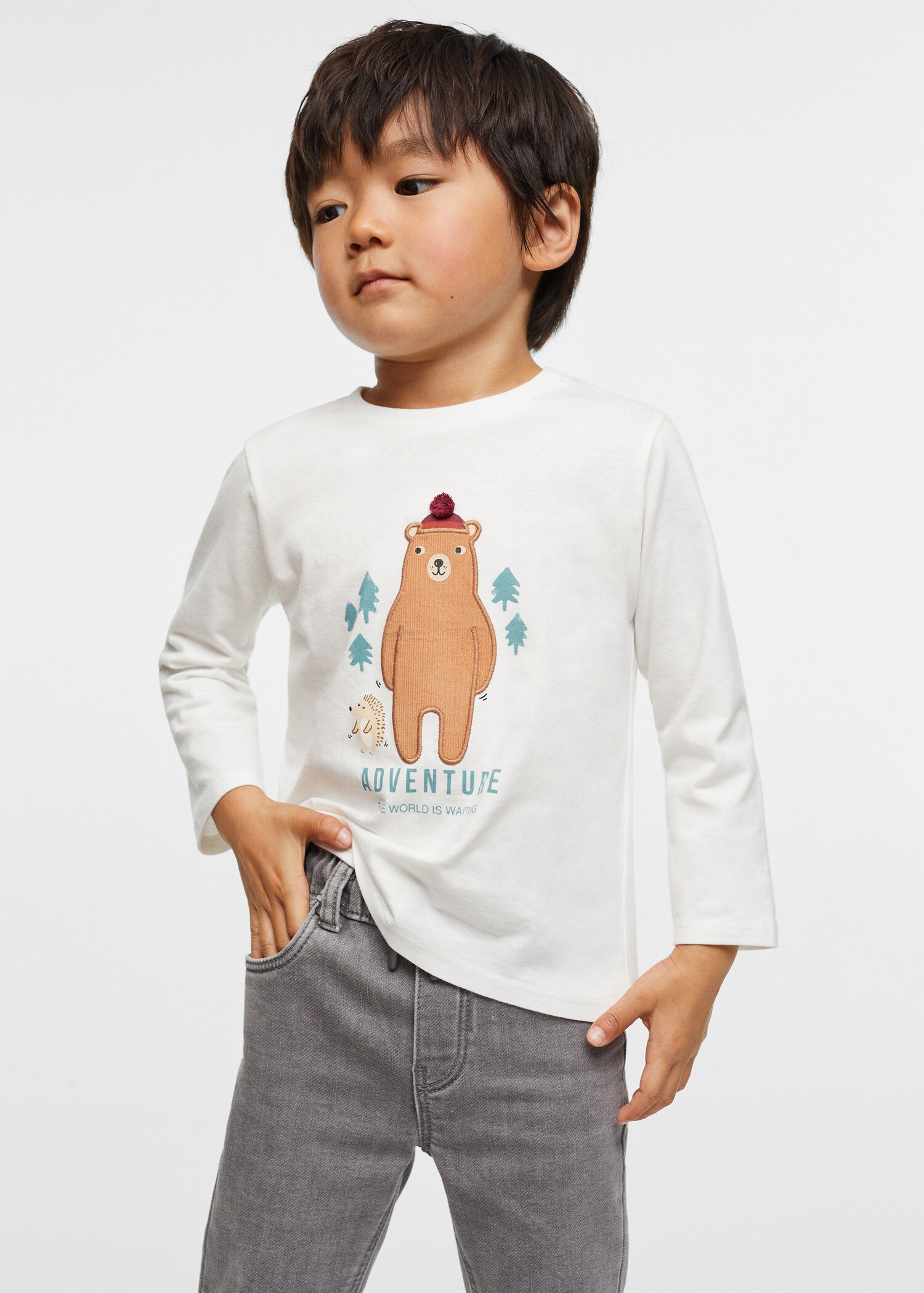 Printed long sleeve t-shirt - Medium plane