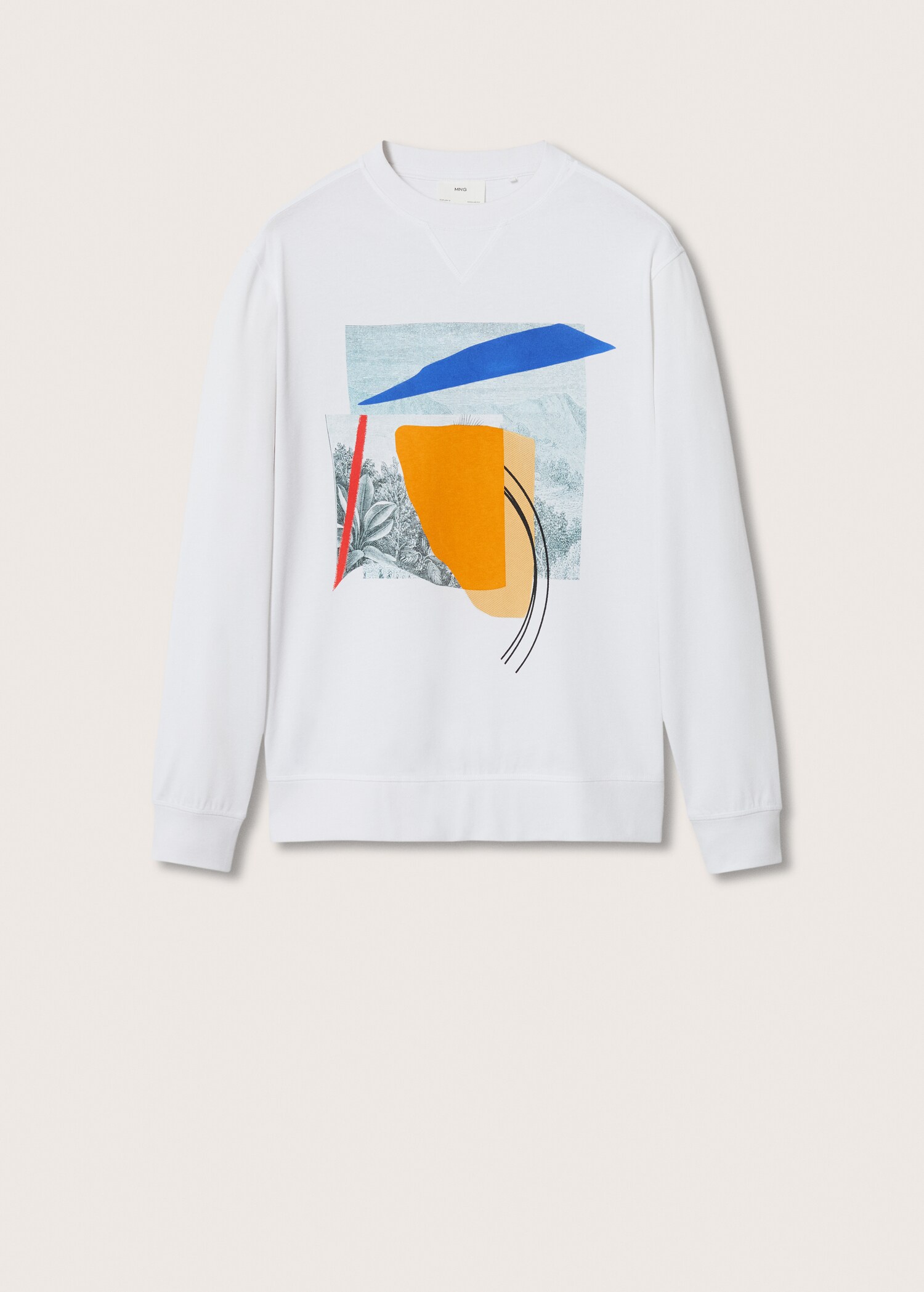 Printed cotton sweatshirt - Article without model