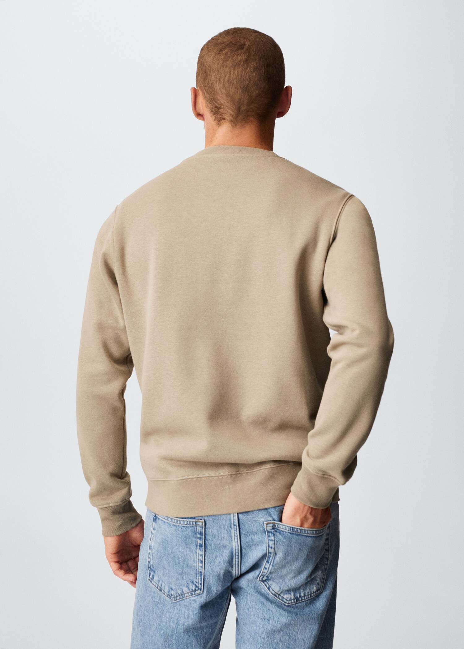 Plush cotton sweatshirt - Reverse of the article