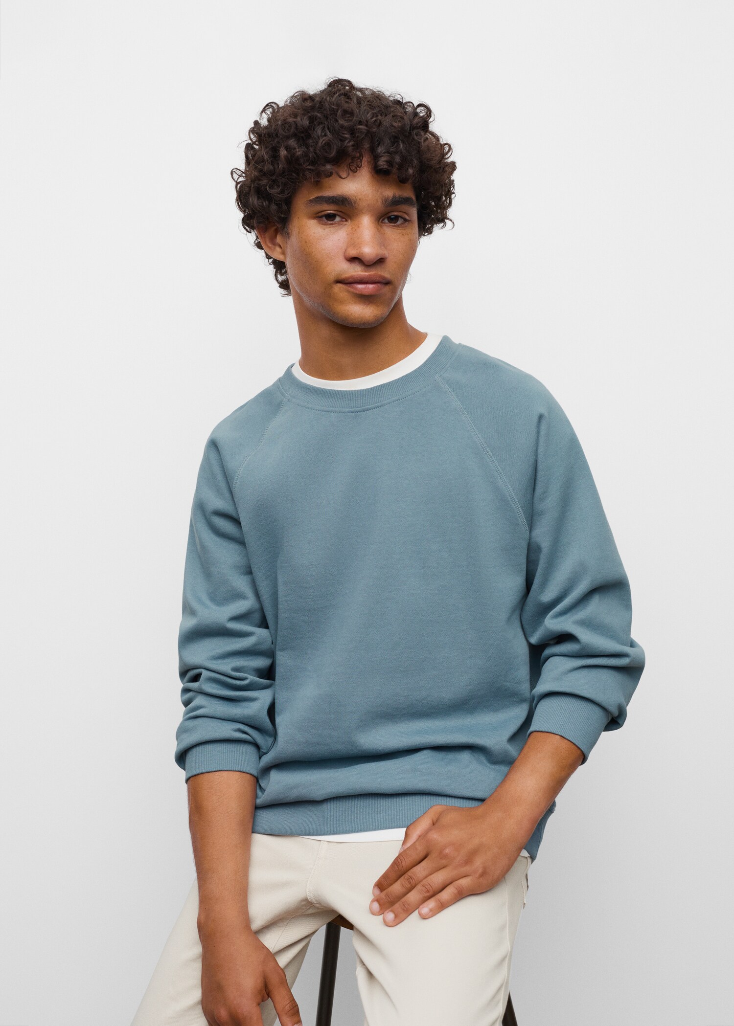 Basic cotton sweater - Medium plane