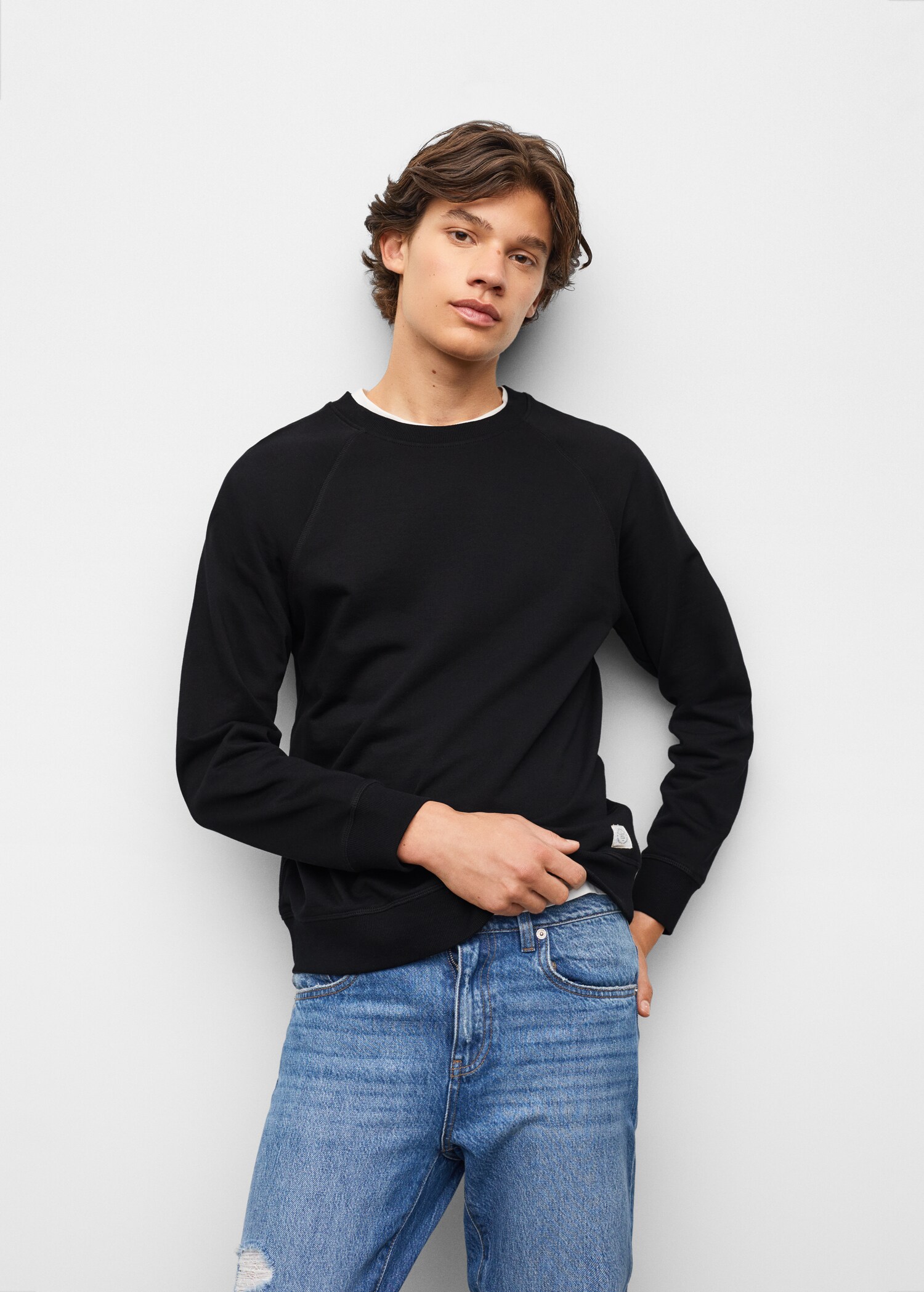 Basic cotton sweater - Details of the article 1