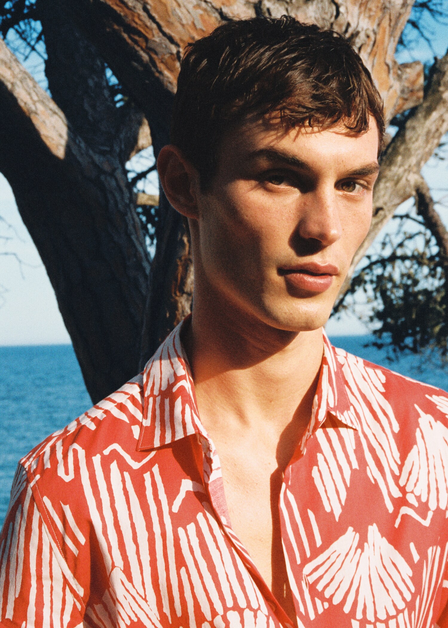 Camisa cotó estampada - Detall de l'article 5