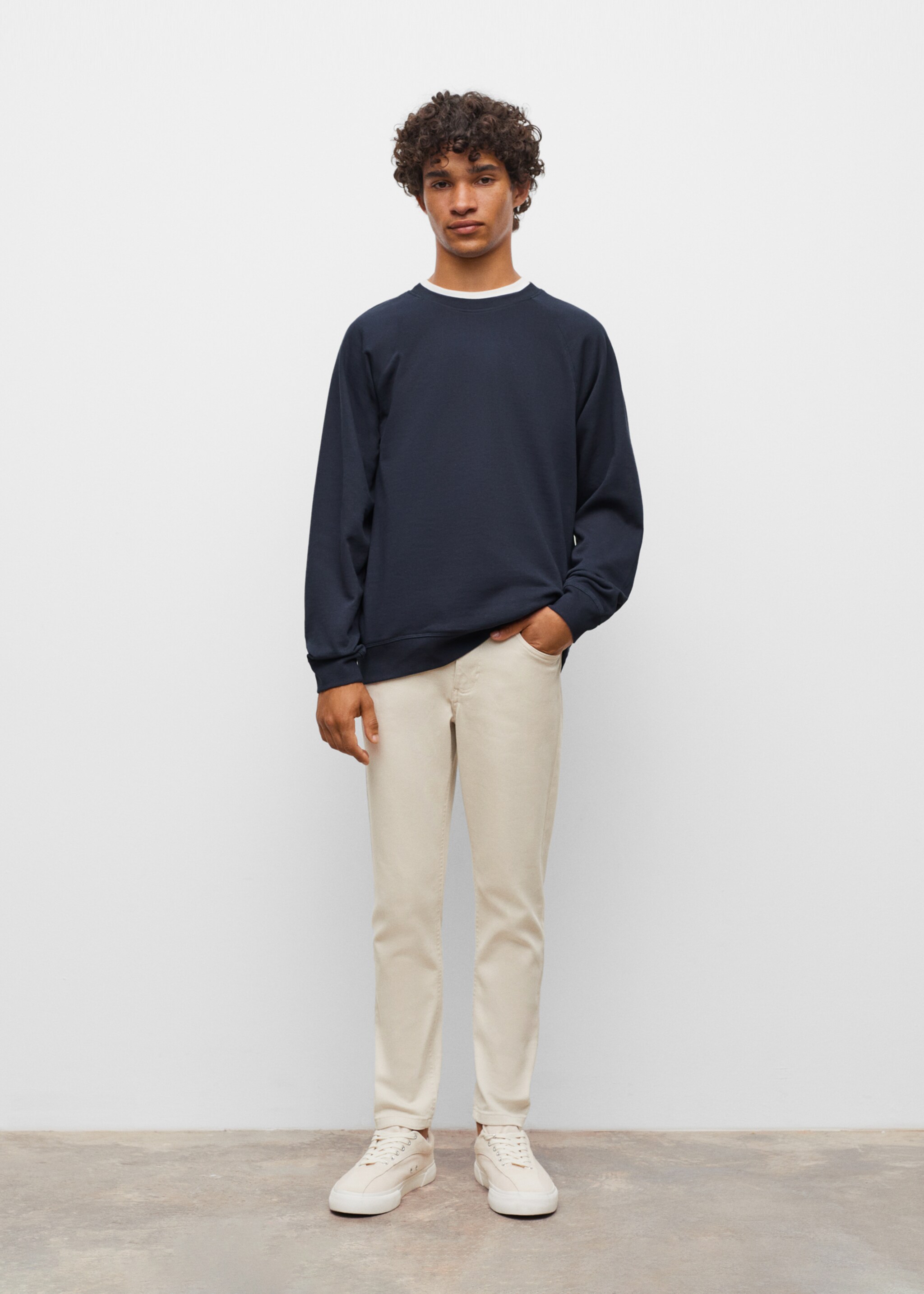 Basic cotton sweater - General plane