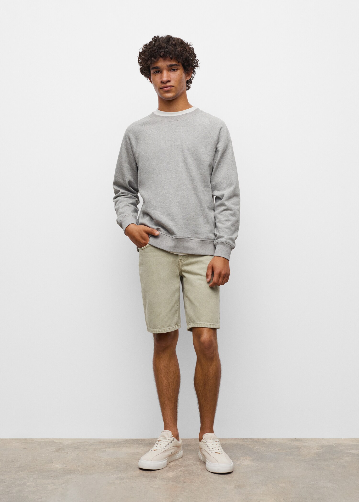 Basic cotton sweater - General plane