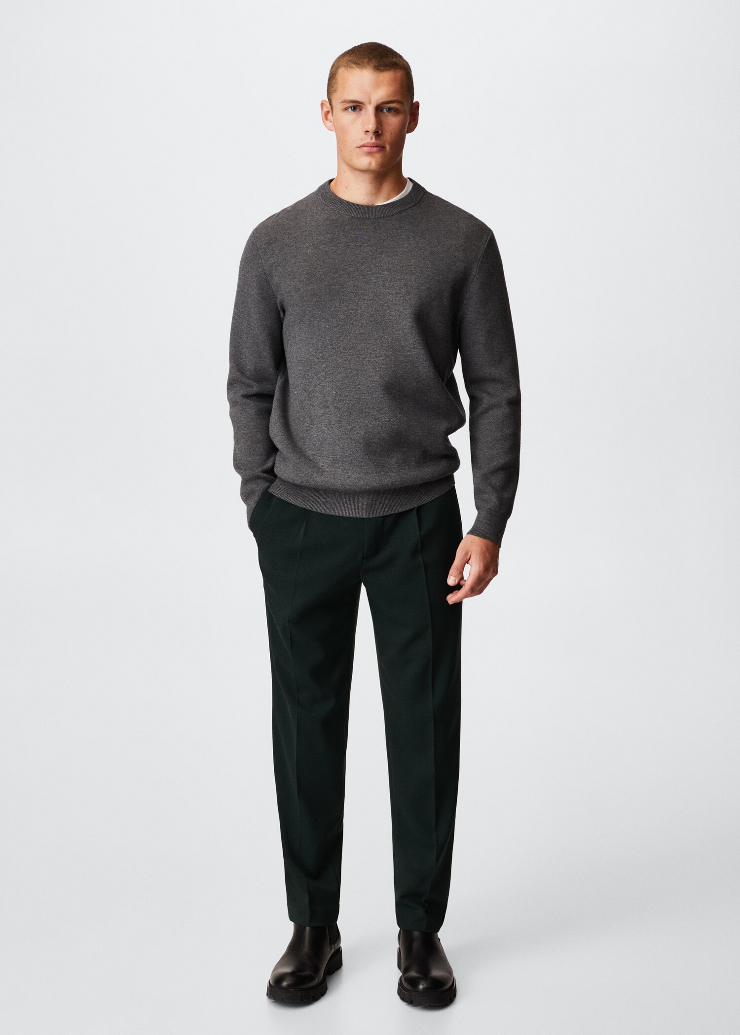 Cotton pleated pants - General plane