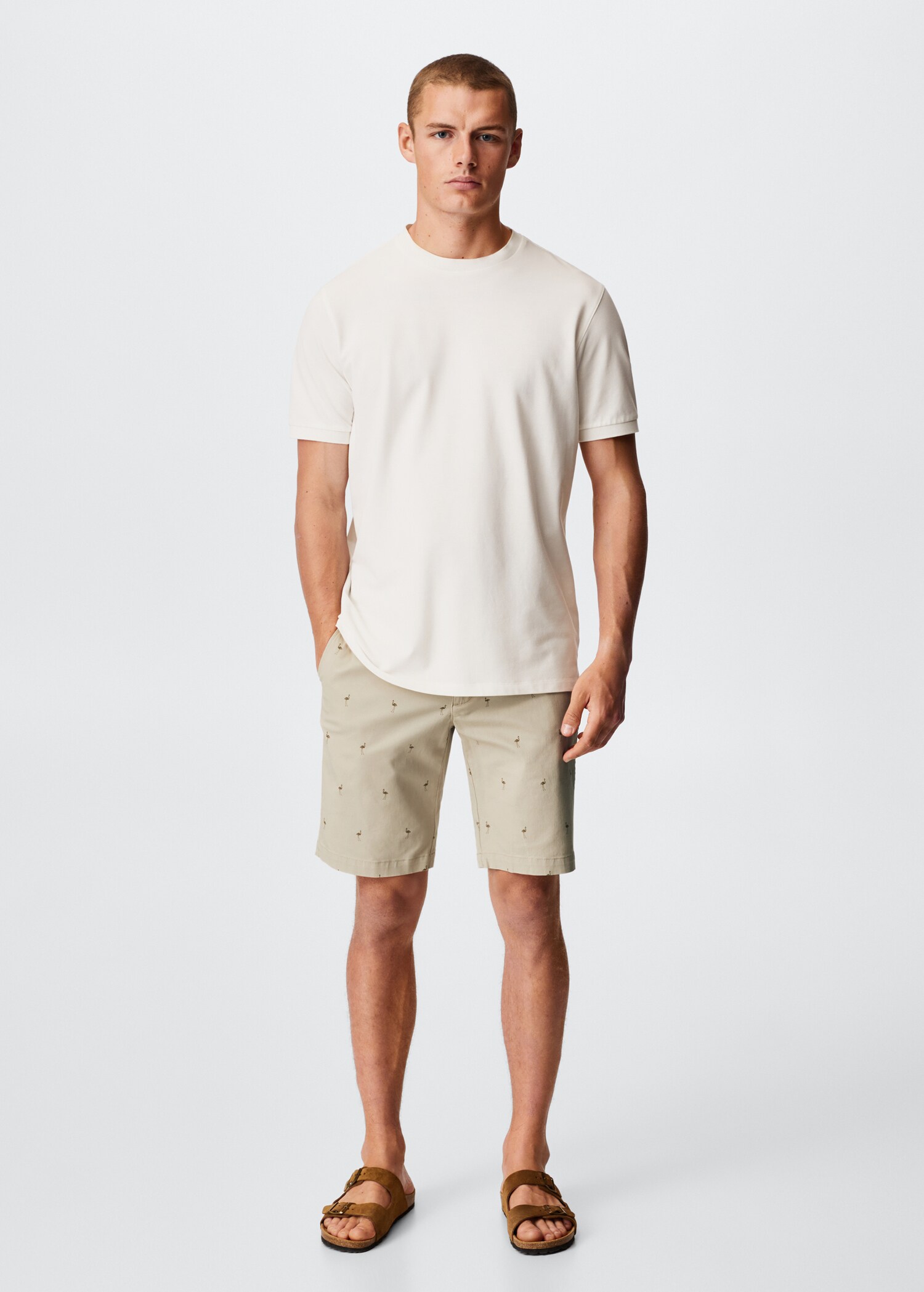 Printed cotton bermuda shorts - General plane