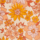 Couleur Orange sélectionnée