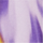 Couleur Violet sélectionnée