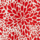 Colour Intense Red selected