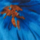 Color Orange selected