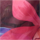 Colour Fuchsia selected