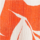 Color Orange selected