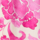 Colore Rosa selezionato