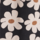 Farbe Schwarz ausgewählt