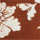 Color Brown selected