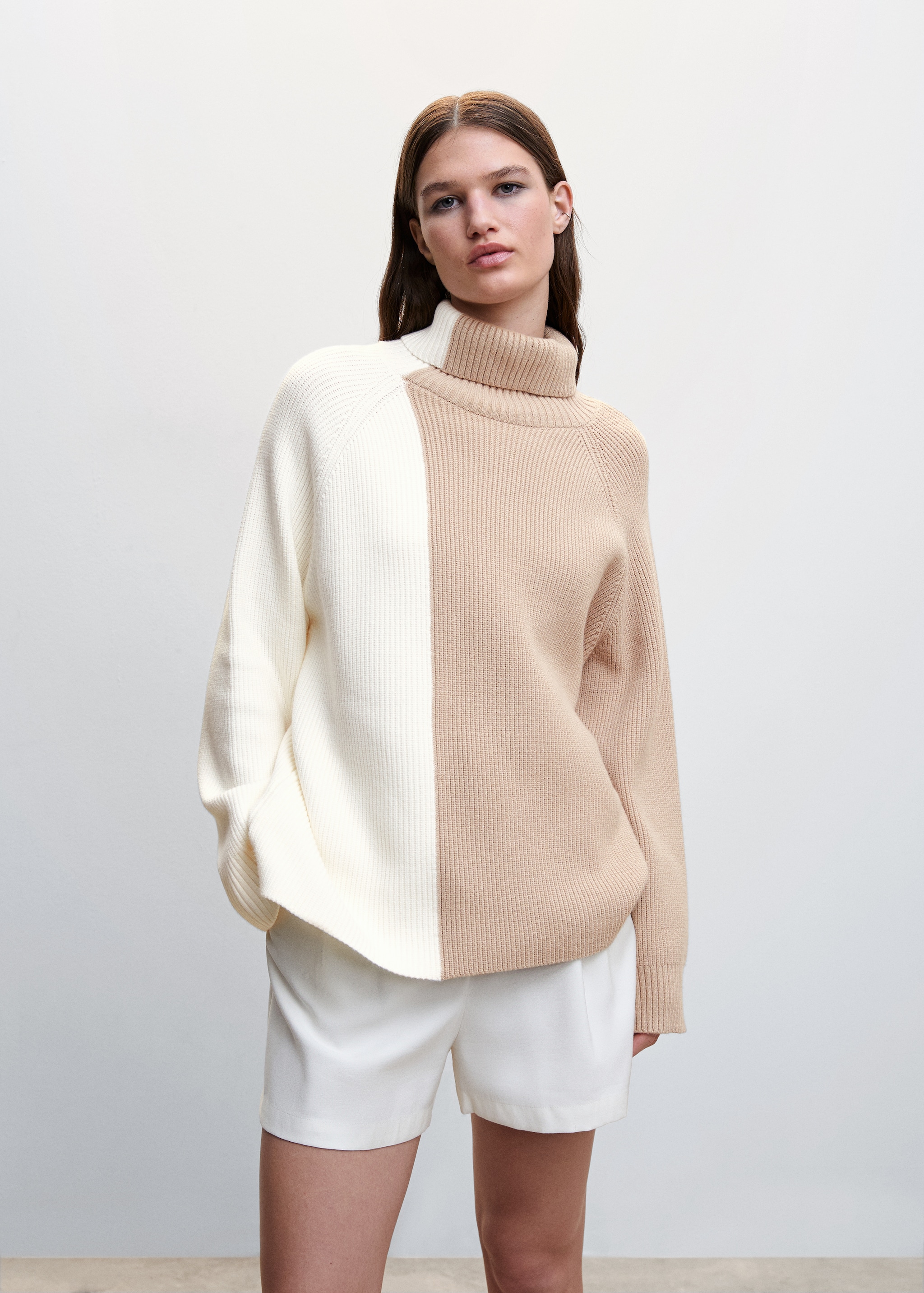 Two-tone turtleneck sweater - Medium plane
