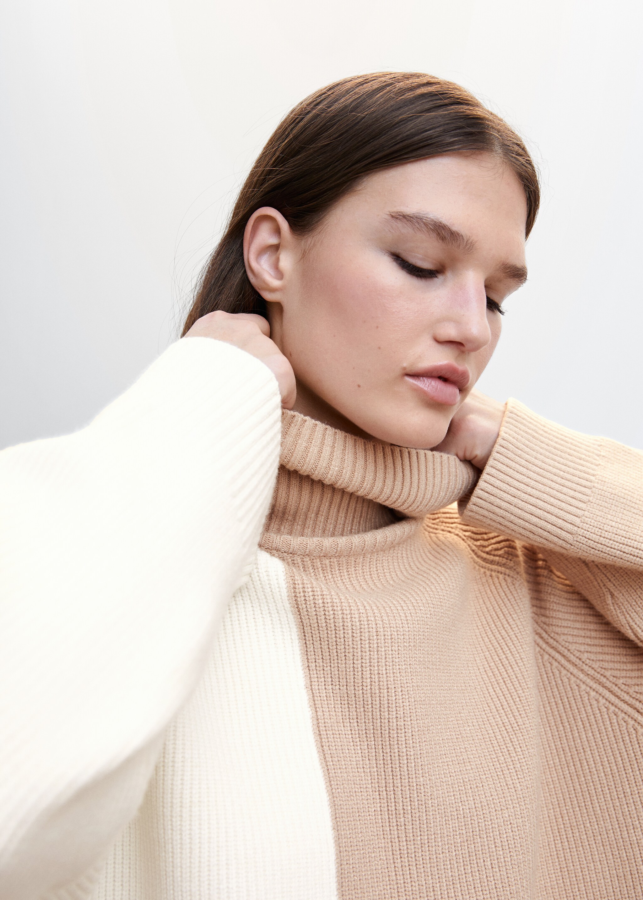 Two-tone turtleneck sweater - Details of the article 1