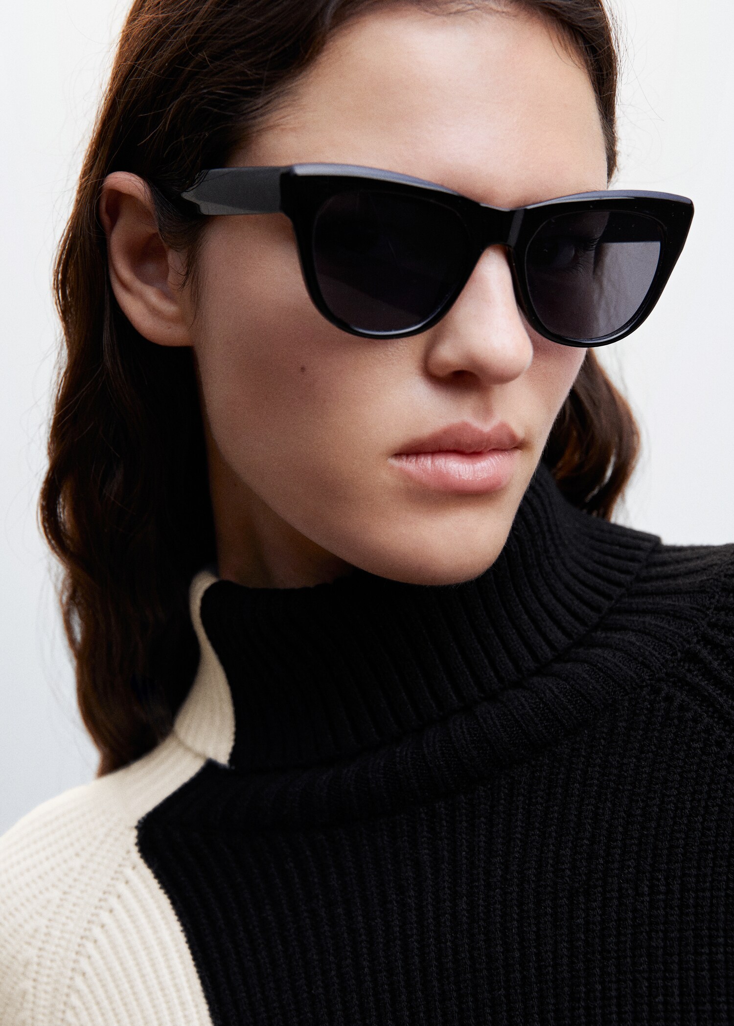 Two-tone turtleneck sweater - Details of the article 1
