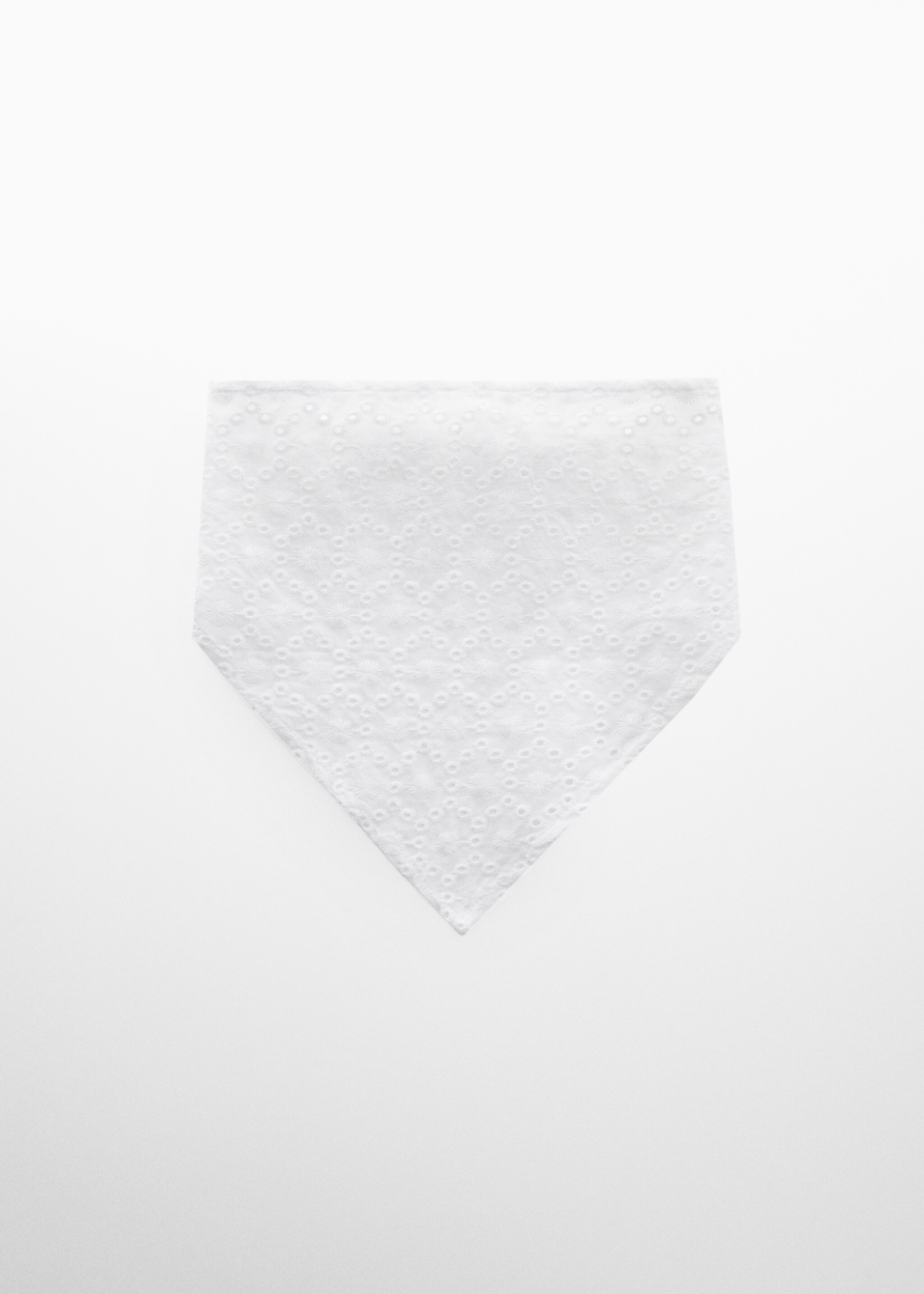 Scarf with embroidered details  - Article without model
