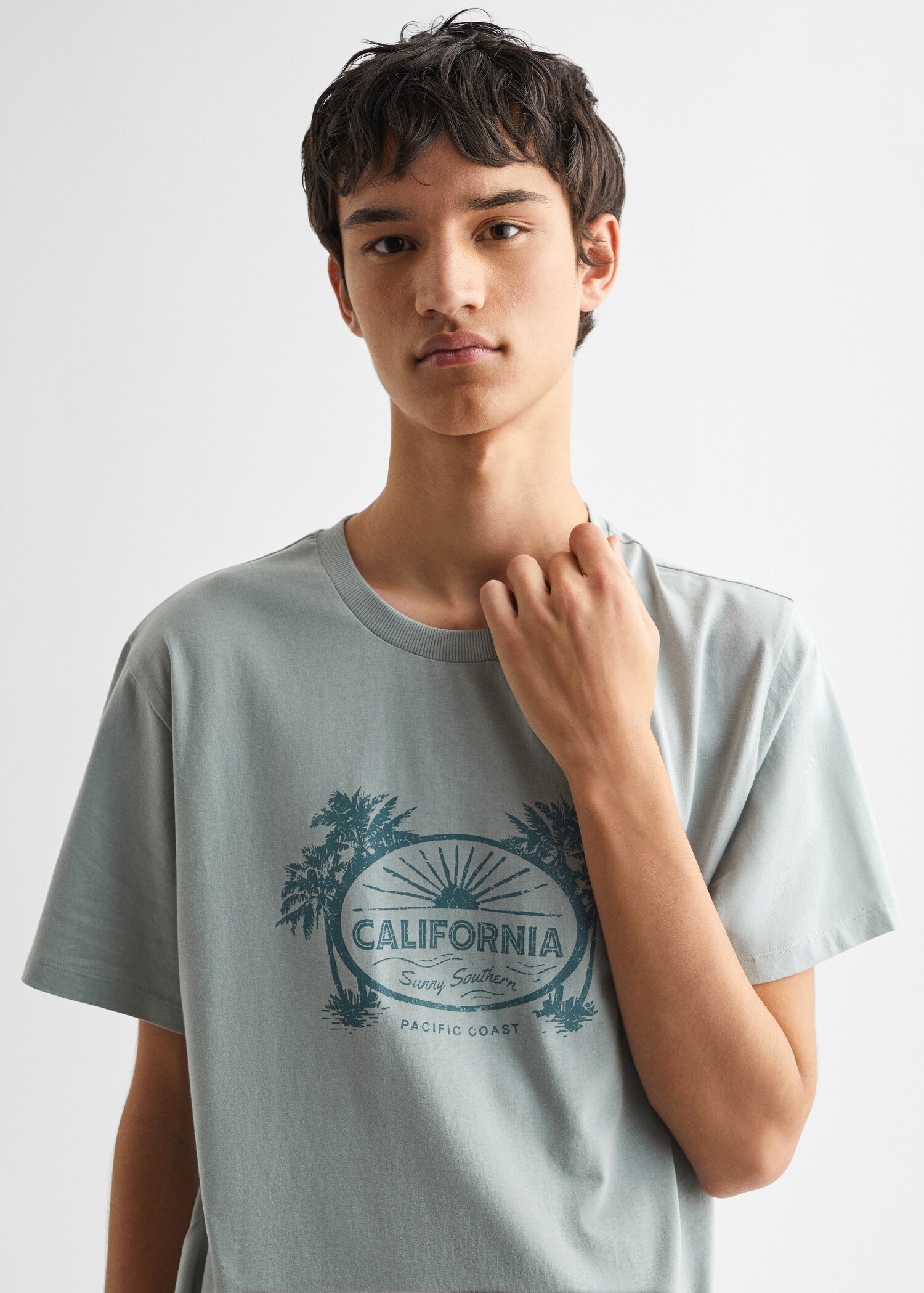 California T-shirt - Detail van het artikel 1