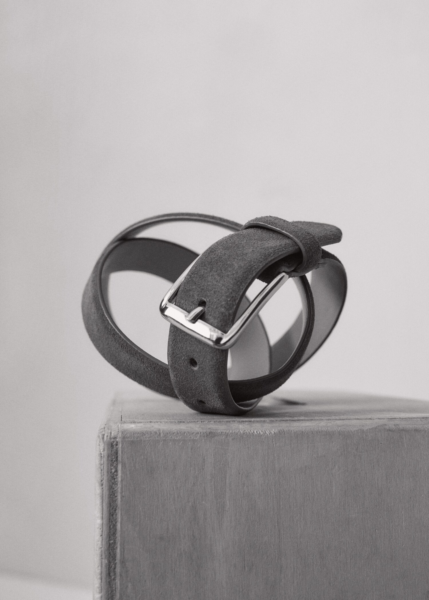 Suede belt - Details of the article 5