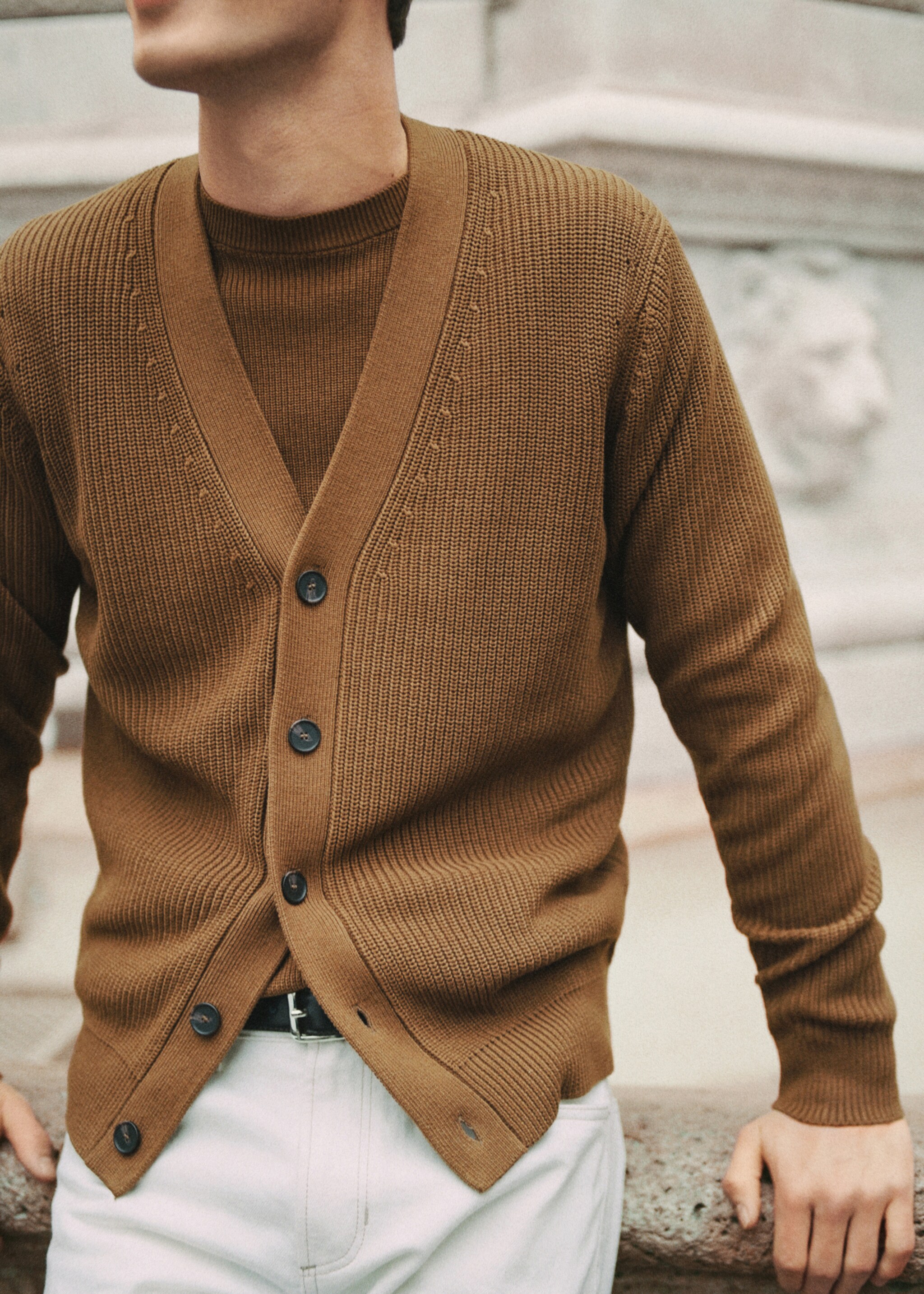 Structured cotton cardigan - Details of the article 5, Brown. Ref: 47034400-00.