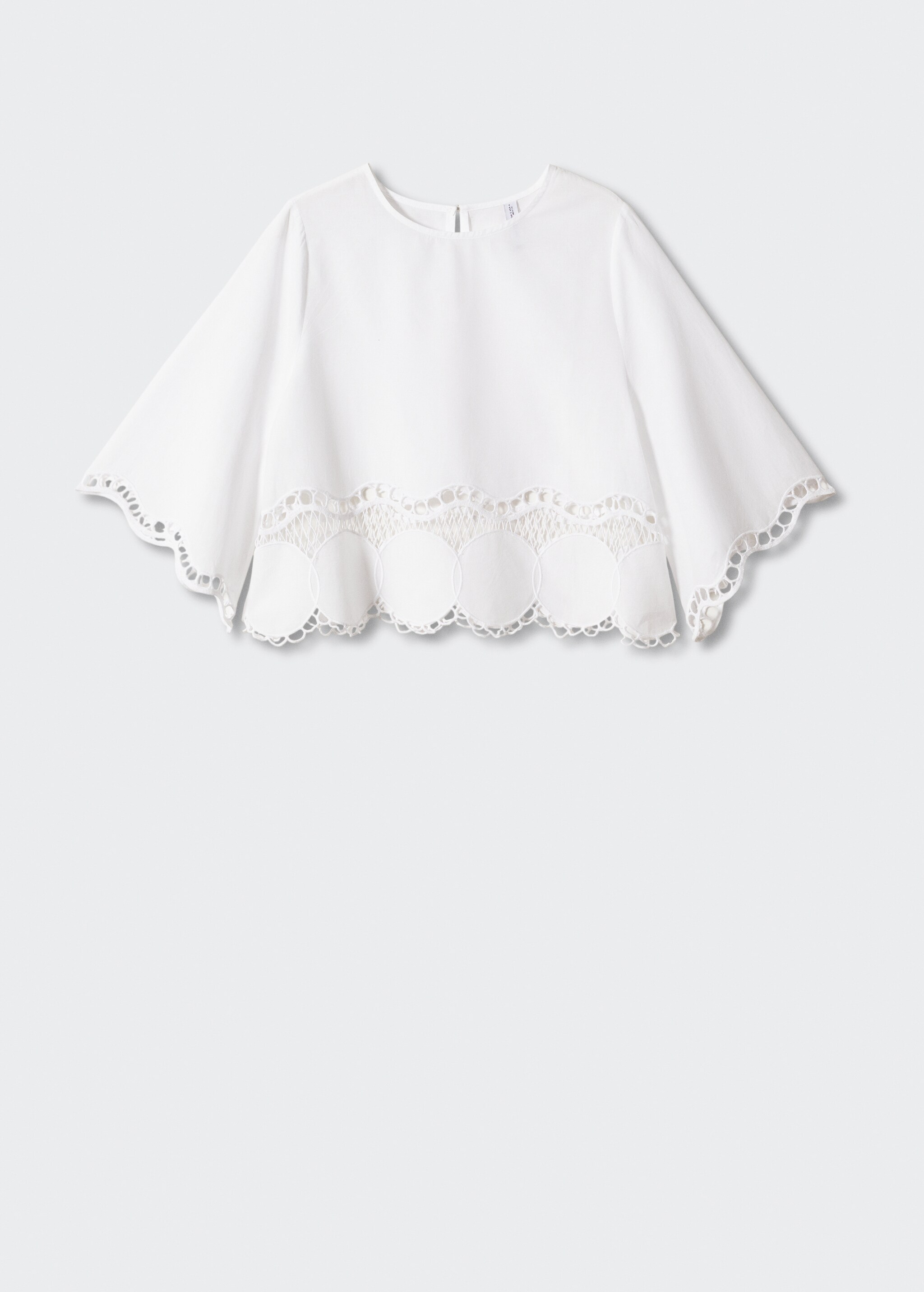Embroidered oversized blouse - Article without model