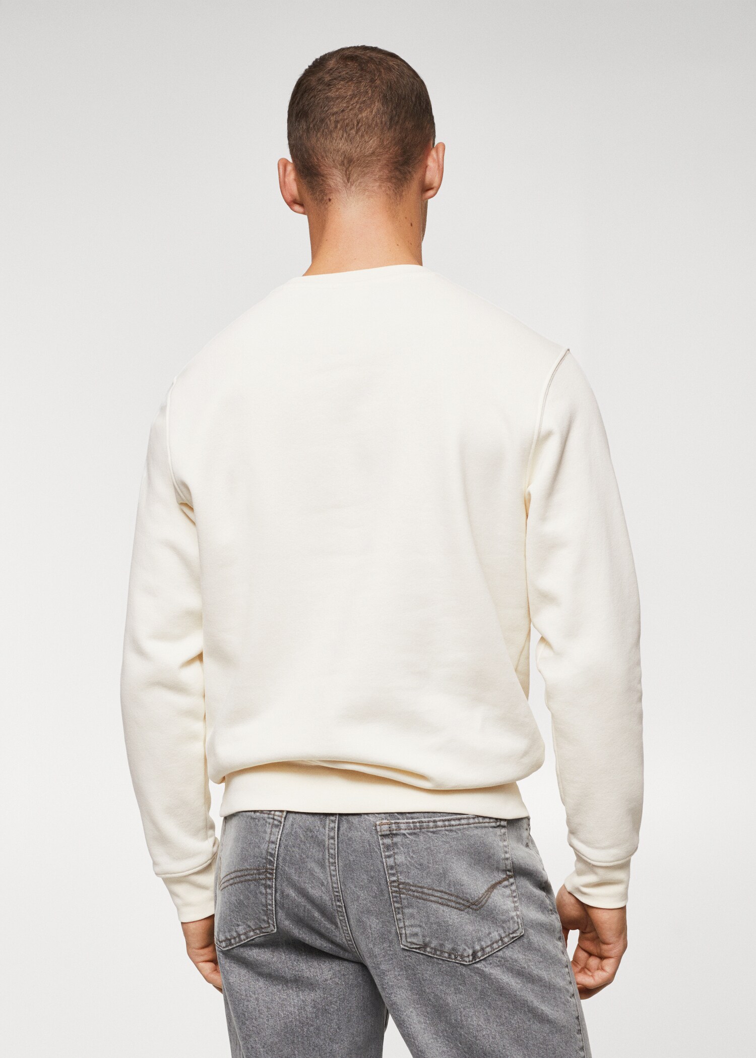 Plush cotton sweatshirt - Reverse of the article