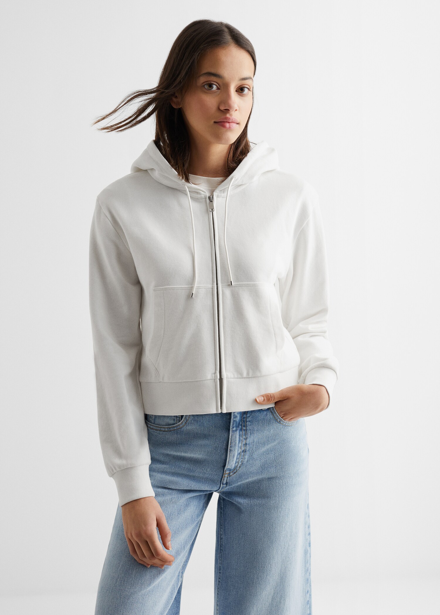 Zipped hoodie - Medium plane