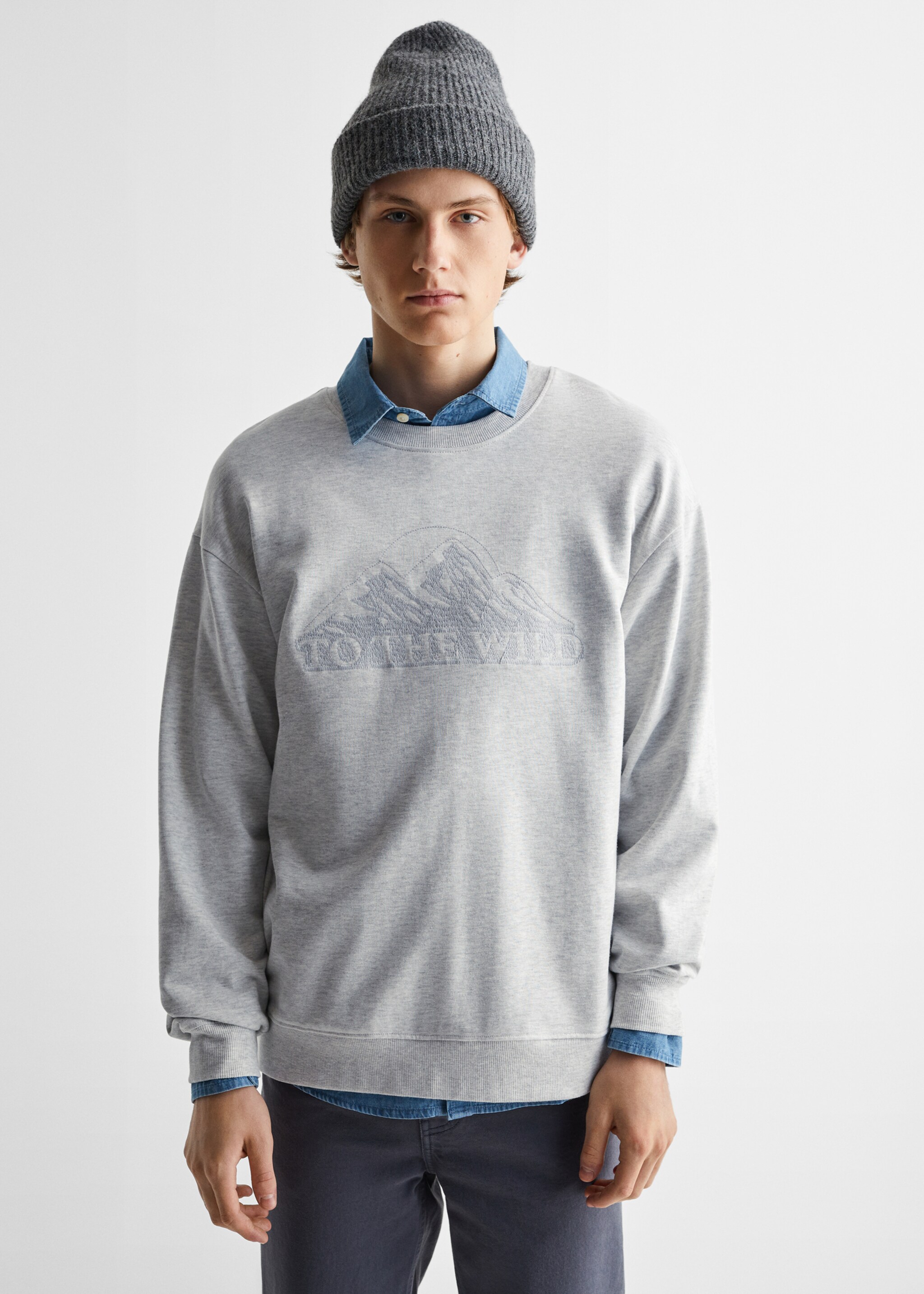 Cartoon cotton sweatshirt - Medium plane