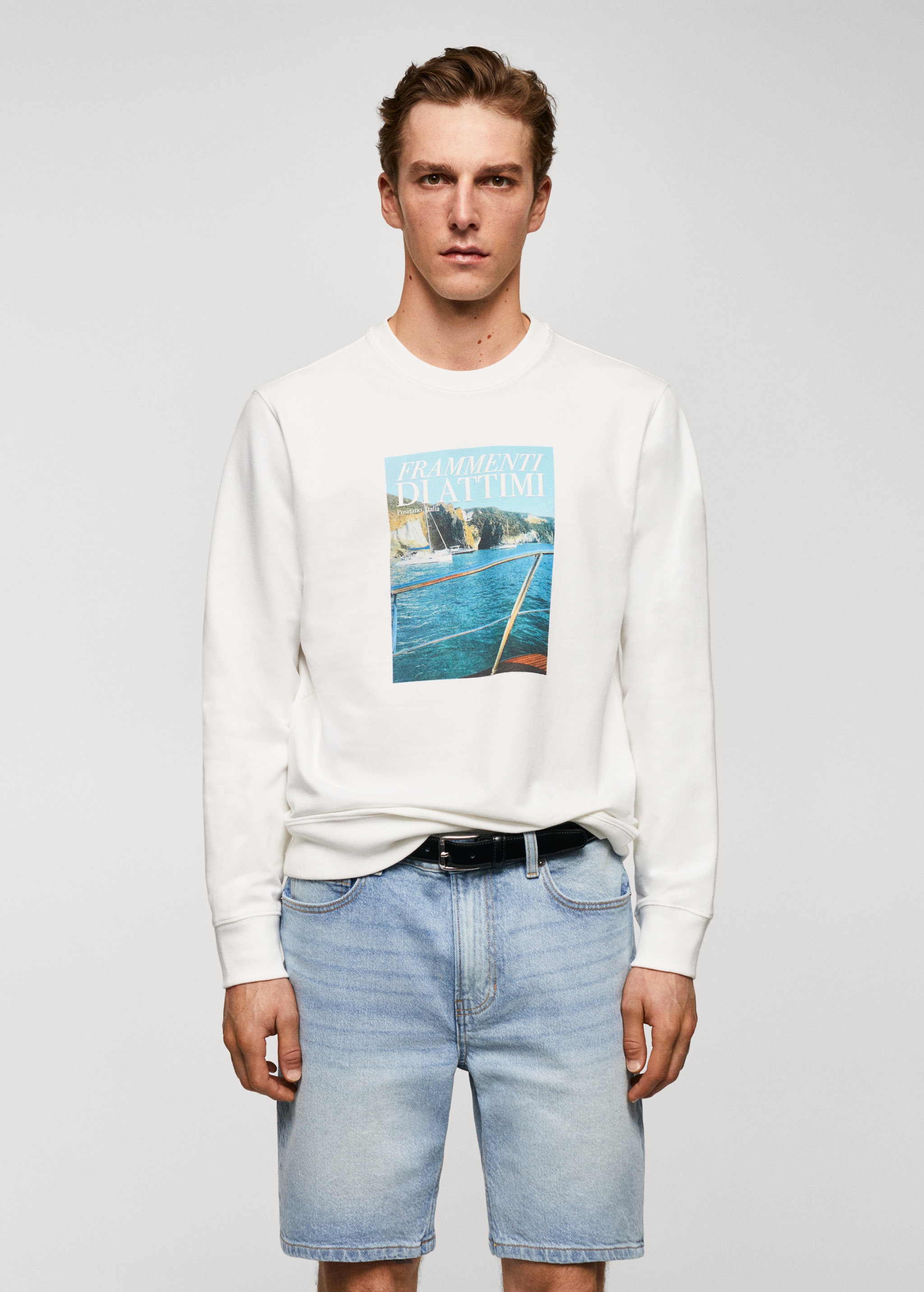 Cotton-blend printed sweatshirt - Medium plane