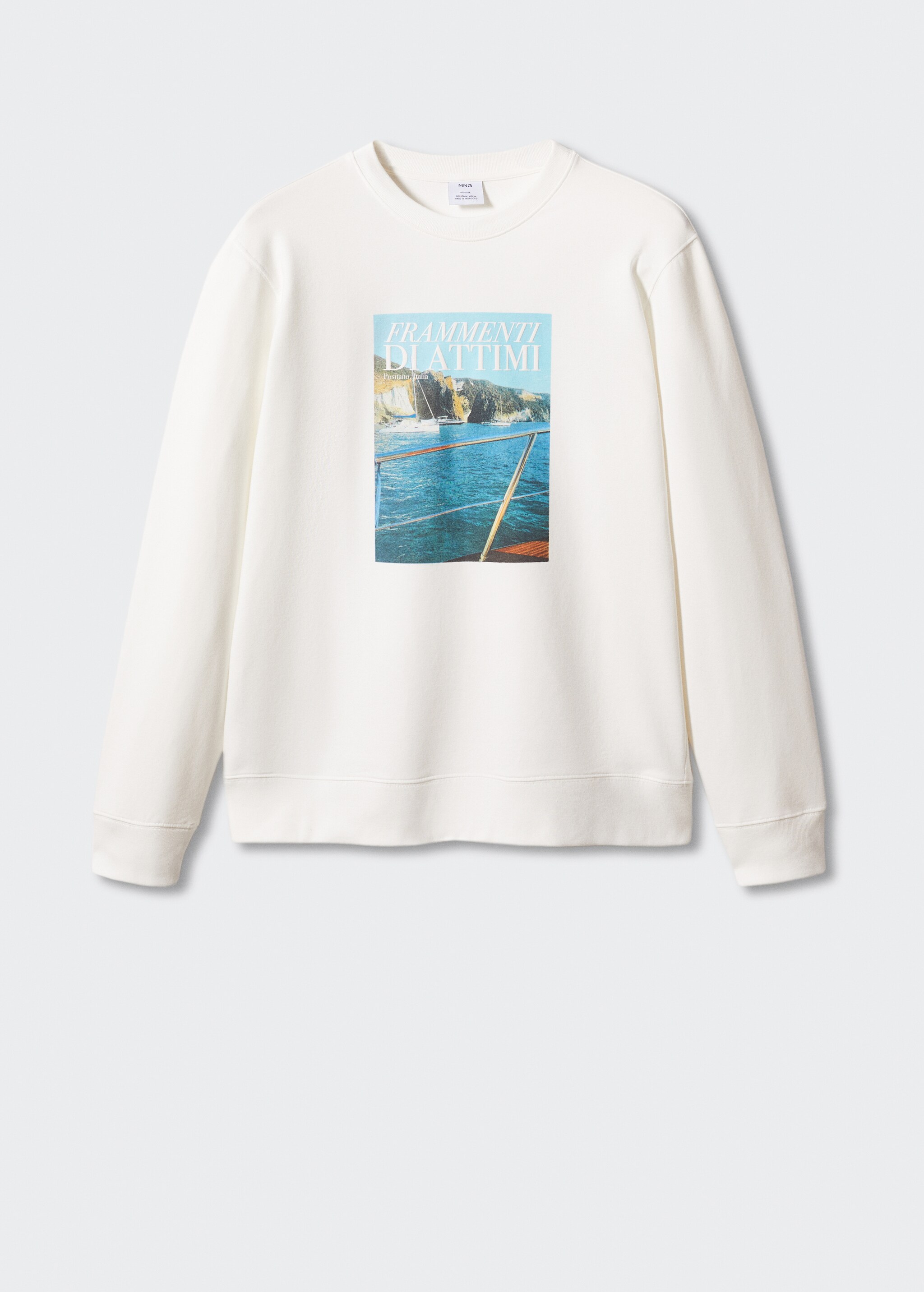 Cotton-blend printed sweatshirt - Article without model