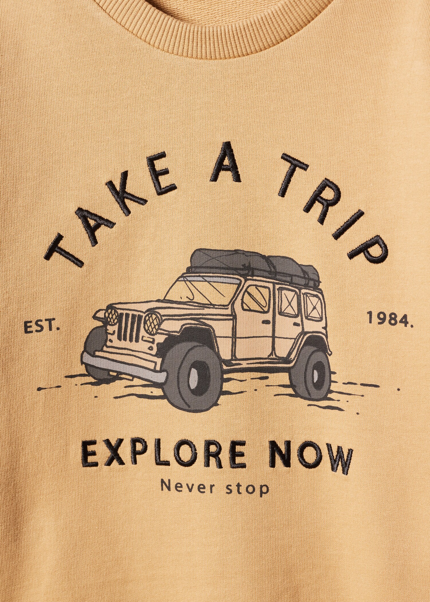 Printed cotton sweatshirt - Details of the article 0