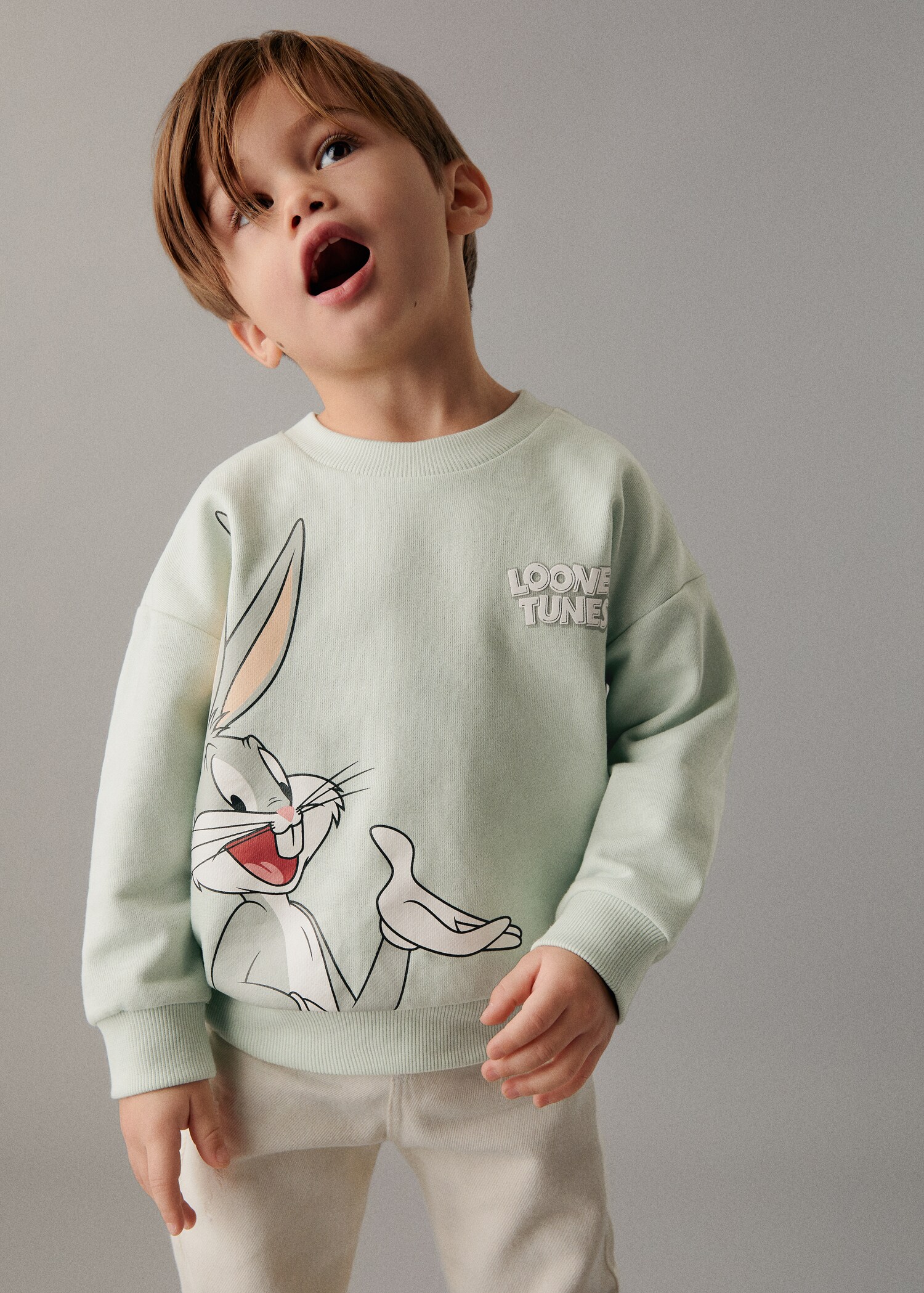 Sudadera Bugs Bunny - Plano medio