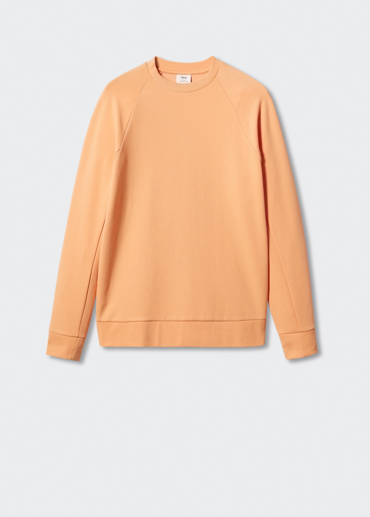 Lightweight cotton sweatshirt - Article without model