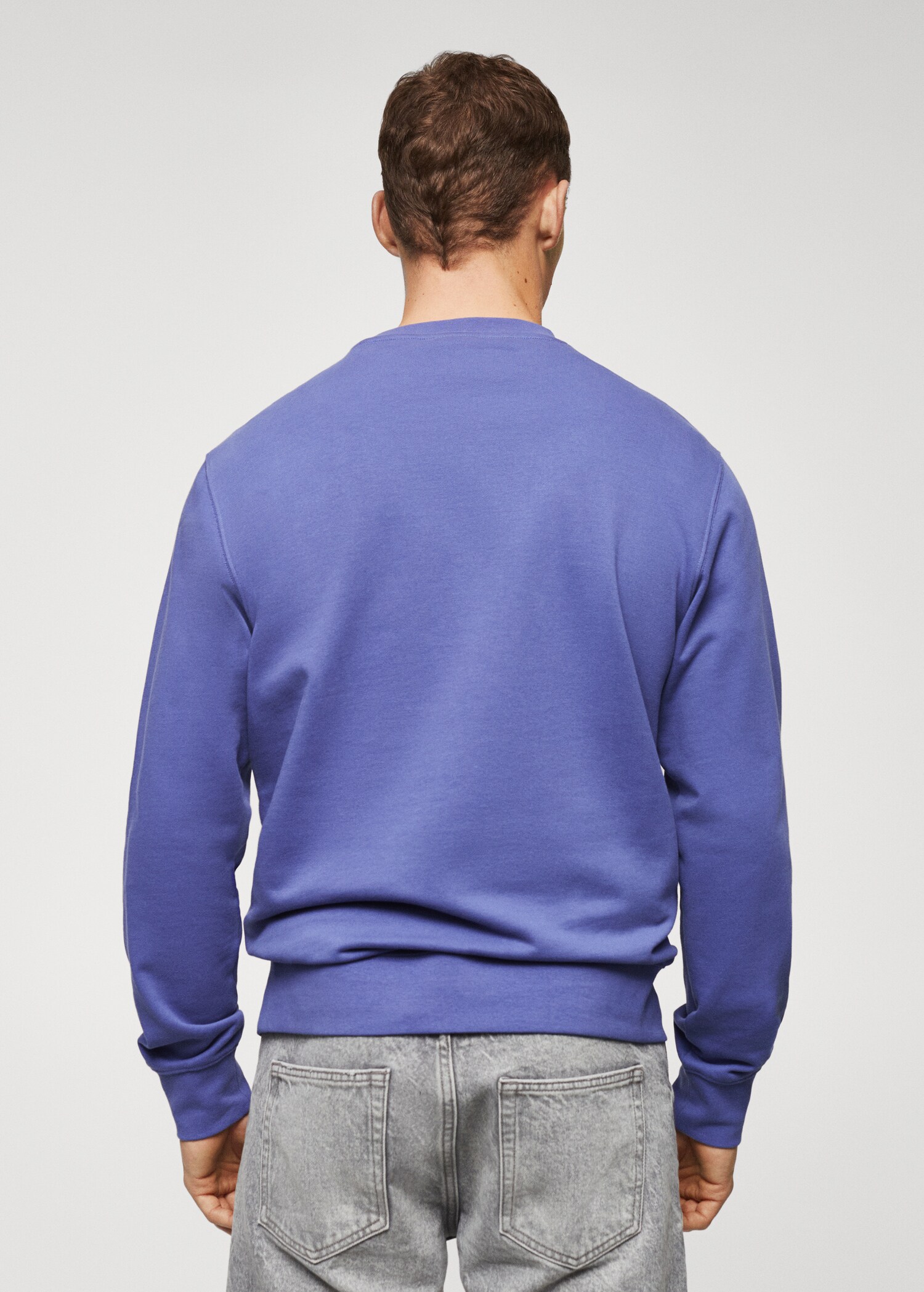 Lightweight cotton sweatshirt - Reverse of the article