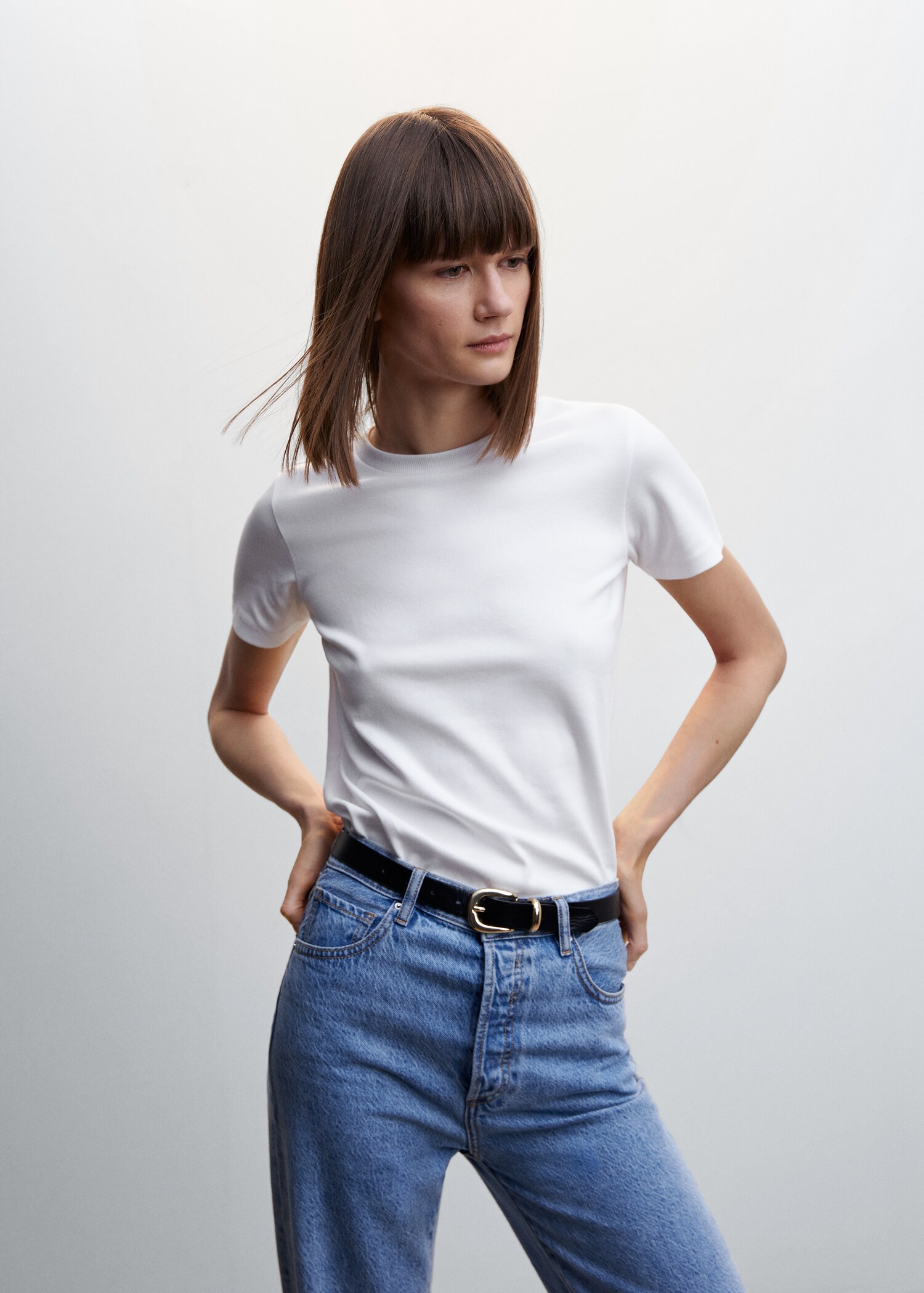 Rounded neck cotton t-shirt - Medium plane