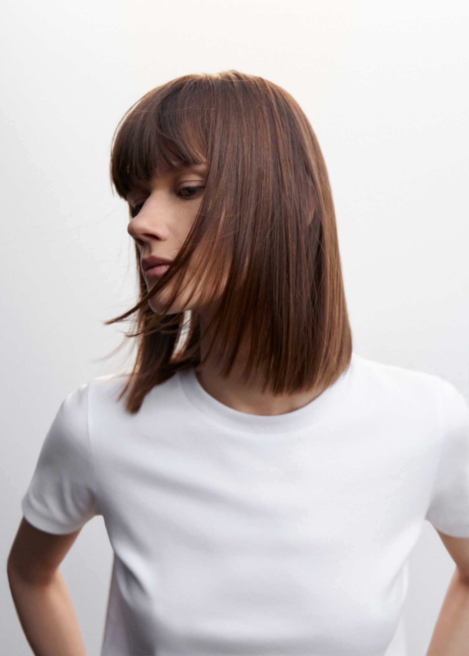 Rounded neck cotton t-shirt - Details of the article 1