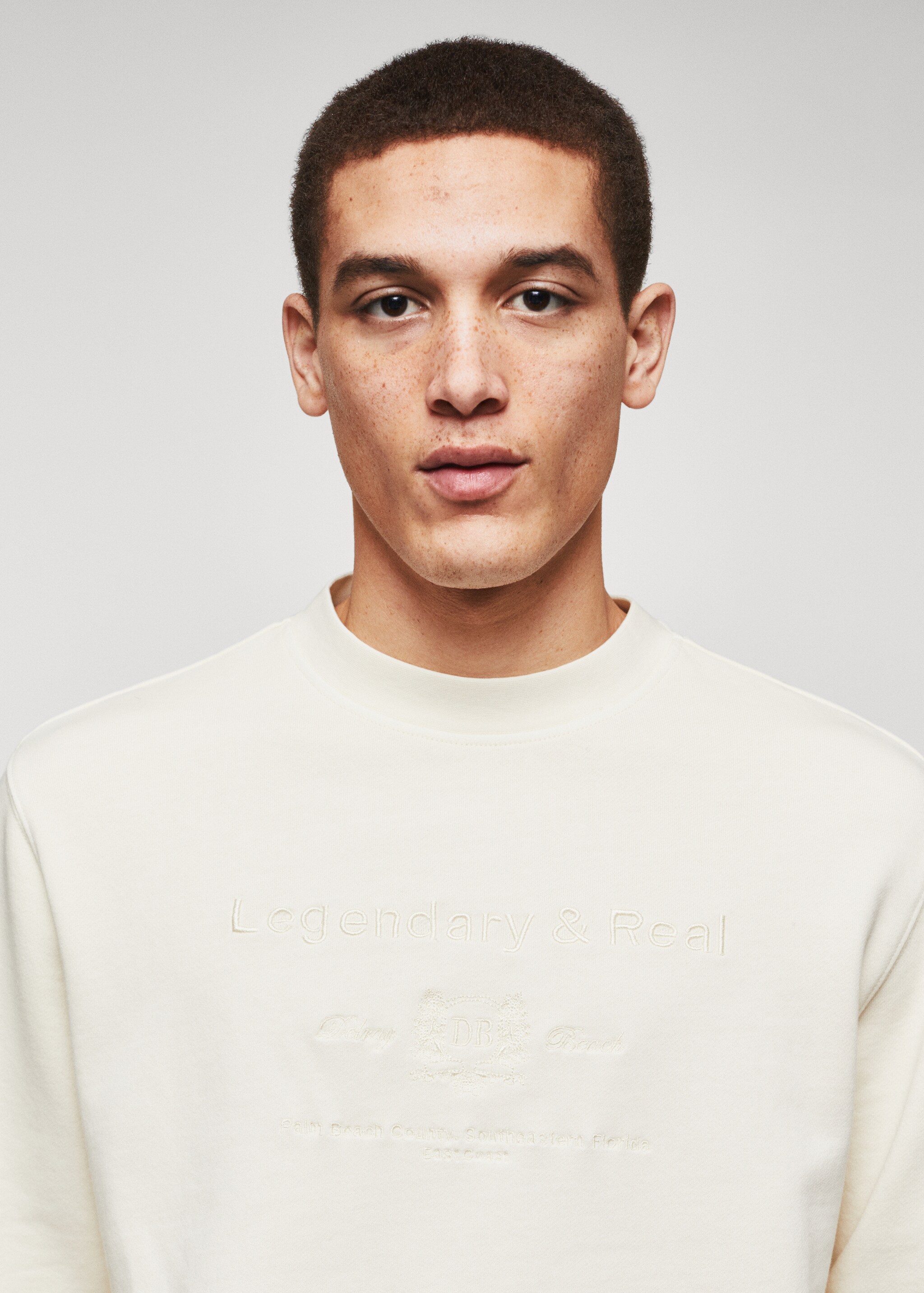100% cotton sweatshirt embroidered detail - Details of the article 1