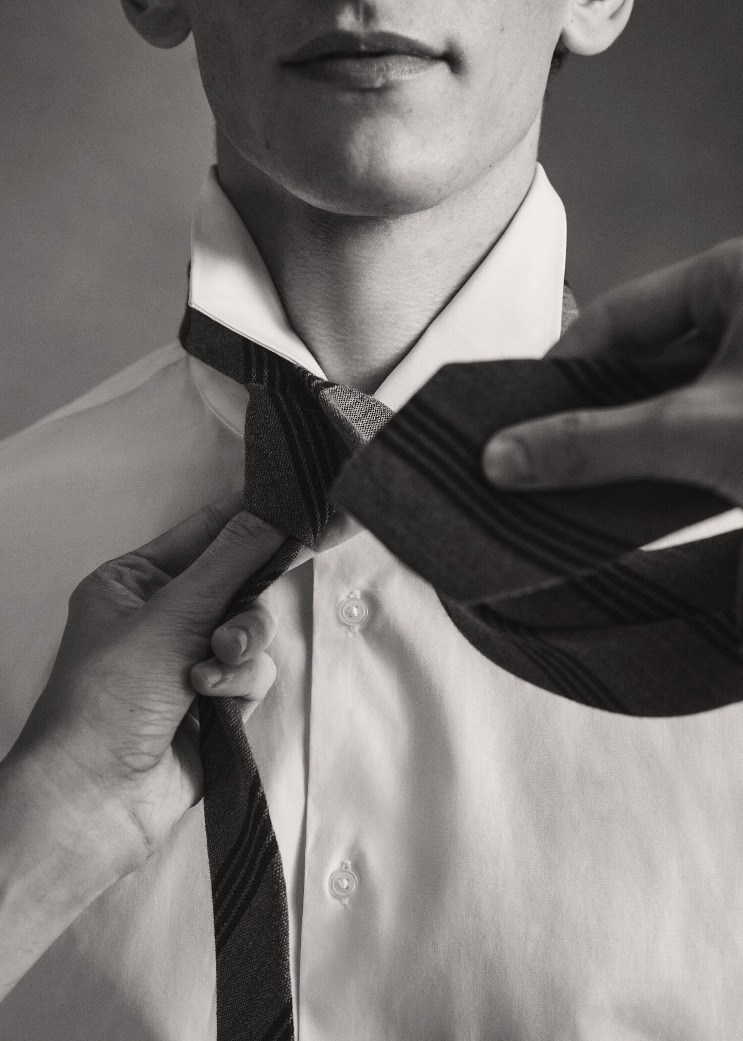Crease-resistant wool tie - General plane
