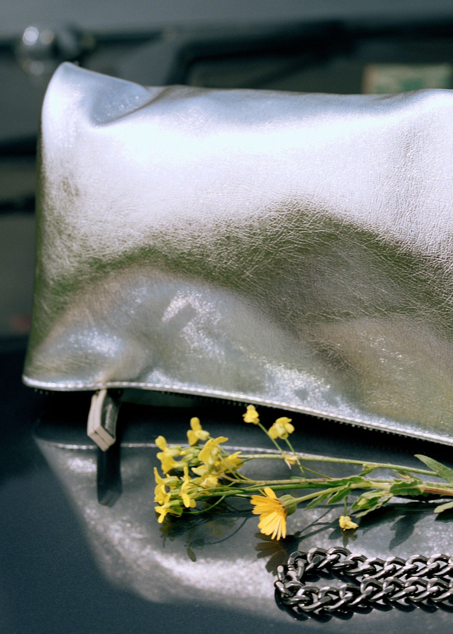 Flap chain bag - General plane