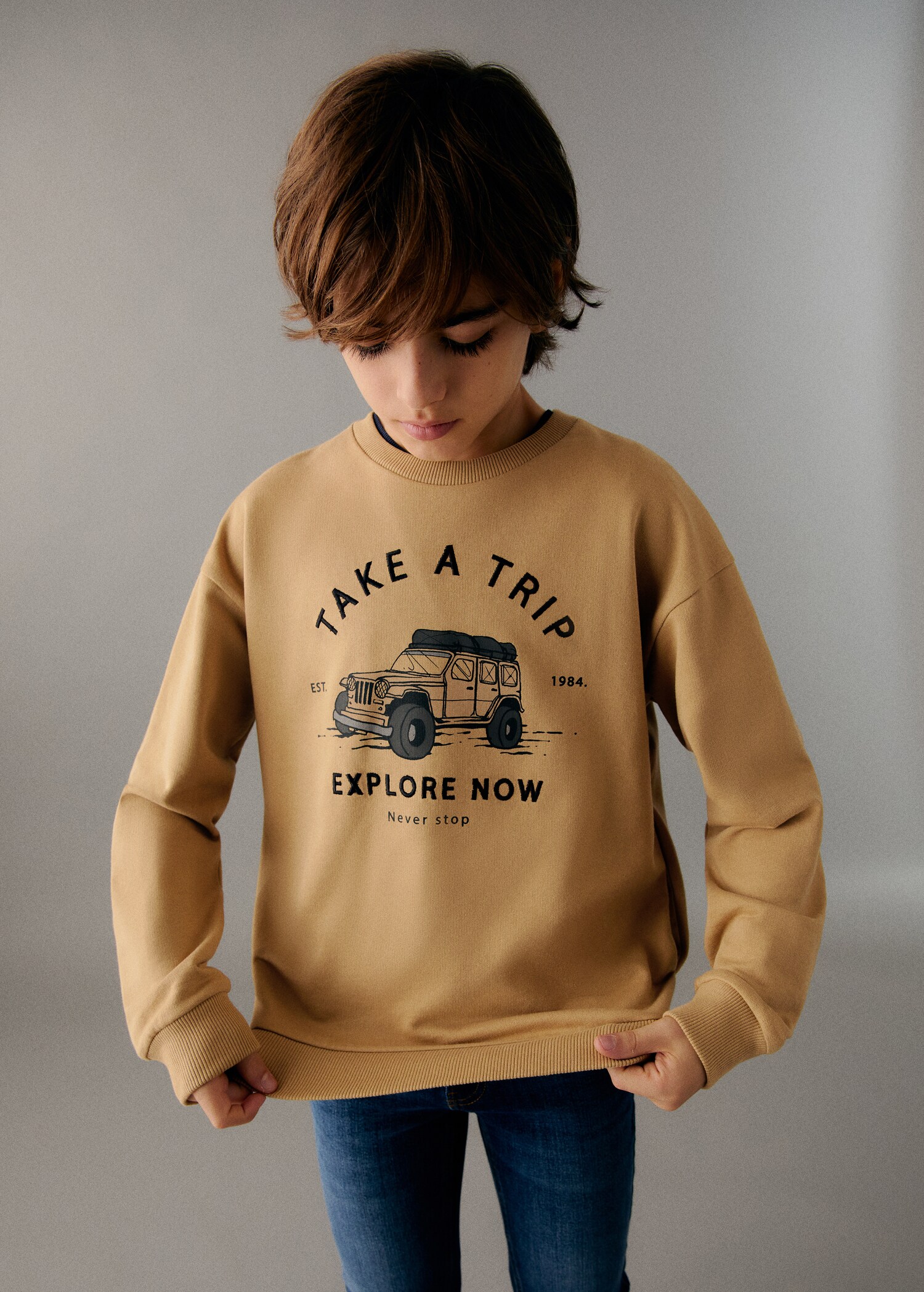 Printed cotton sweatshirt - General plane