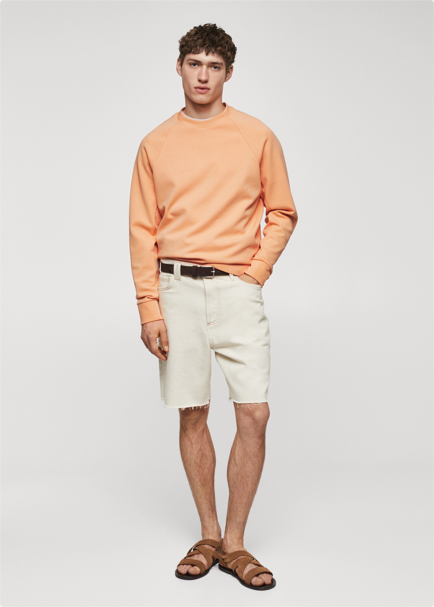 Lightweight cotton sweatshirt - General plane