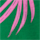 Colour Green selected