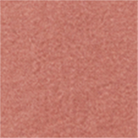 81