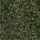 Couleur Vert sélectionnée