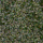 Couleur Vert sélectionnée
