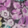 Color Lilac selected